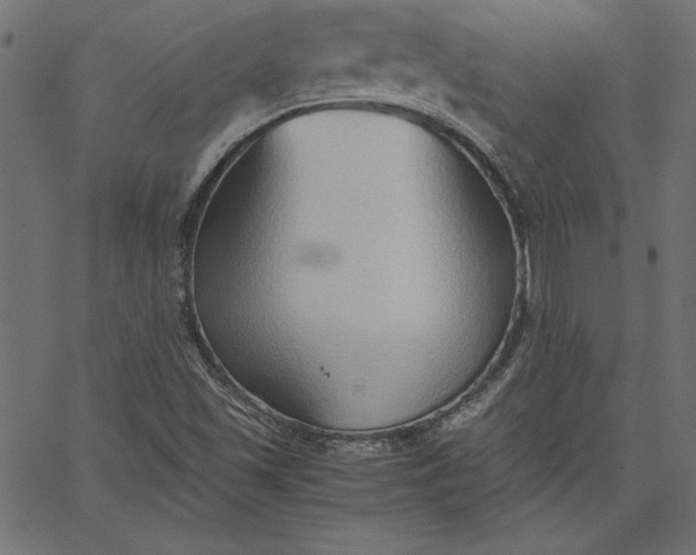 X0000067831501200604271541