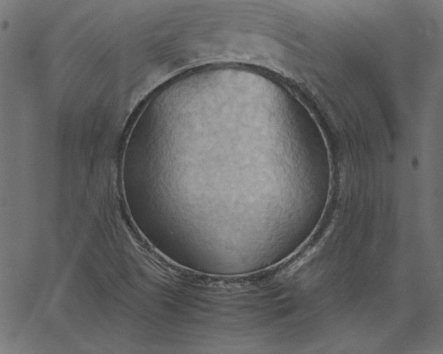 X0000067831505200604271541