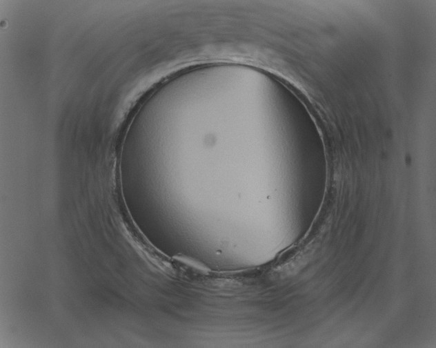 X0000067831507200604271541