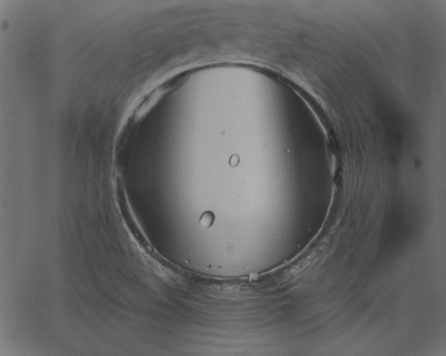 X0000067831508200604271541