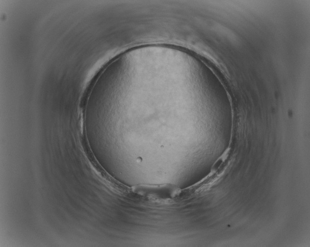 X0000067831509200604271541