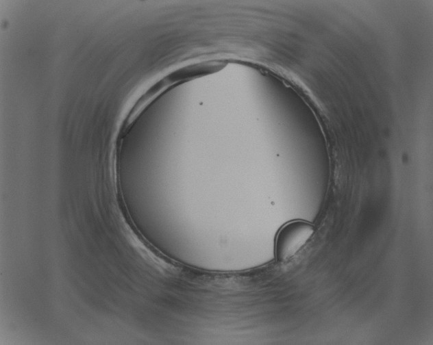 X0000067831516200604271541