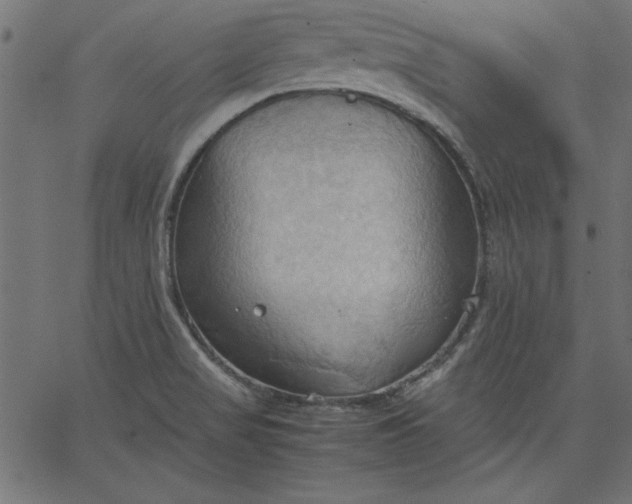 X0000067831517200604271541