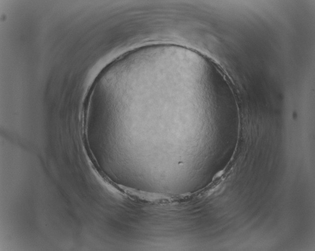 X0000067831519200604271541