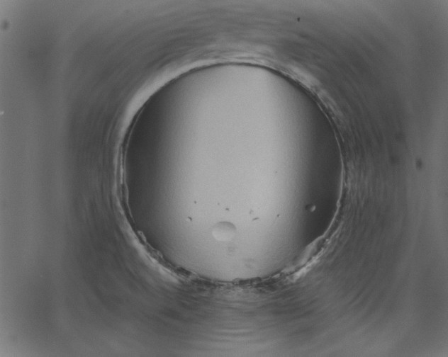 X0000067831520200604271541