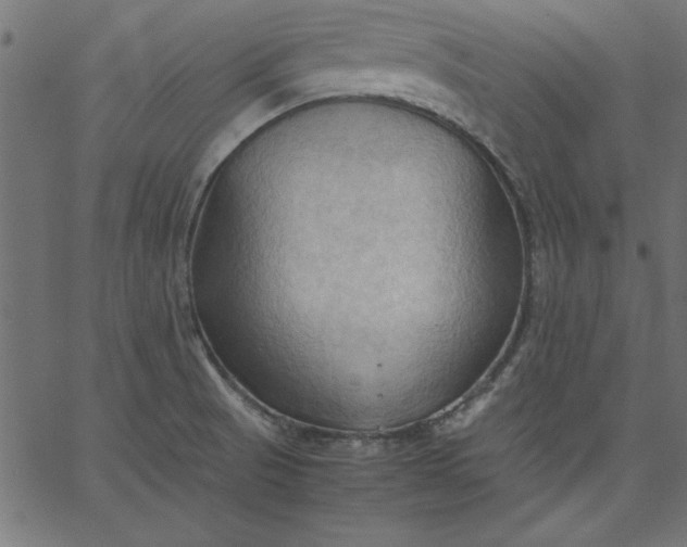 X0000067831521200604271541