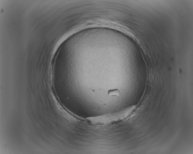 X0000067831522200604271541