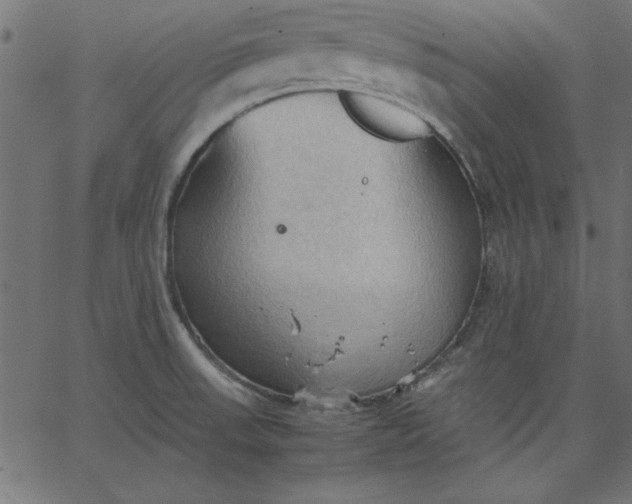 X0000067831523200604271541