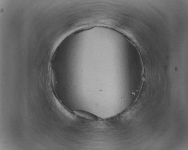 X0000067831524200604271541