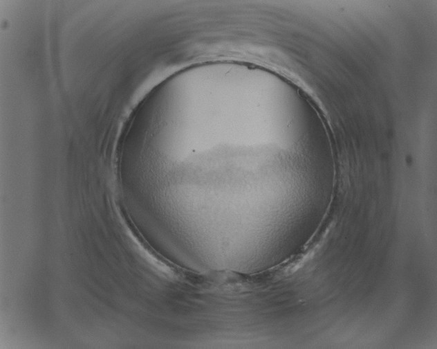 X0000067831525200604271541