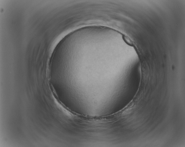 X0000067831527200604271541