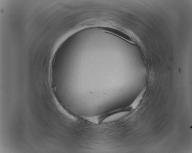 X0000067831528200604271541