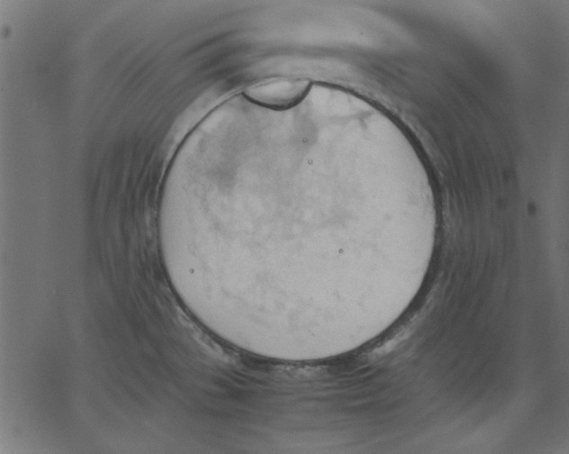 X0000067831529200604271541