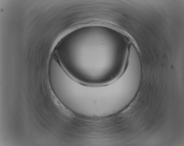 X0000067831530200604271541