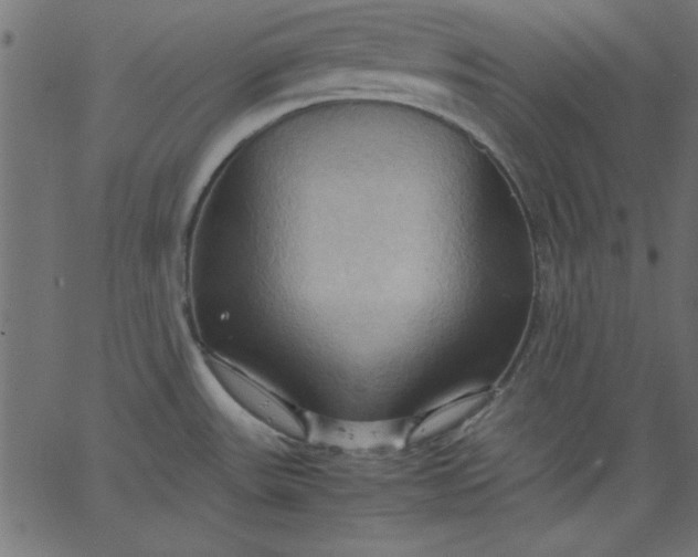 X0000067831531200604271541