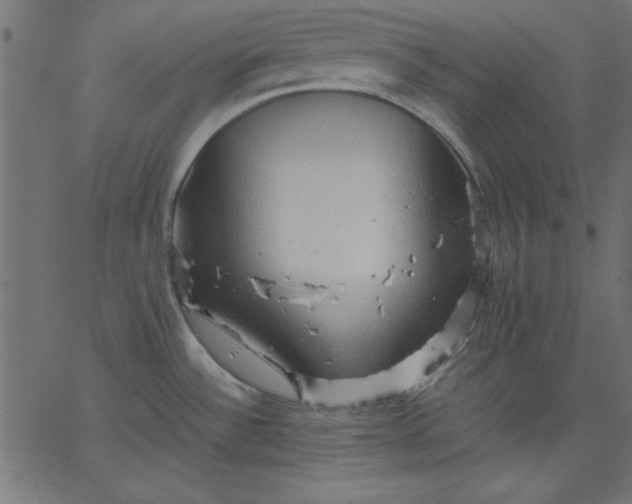 X0000067831532200604271541