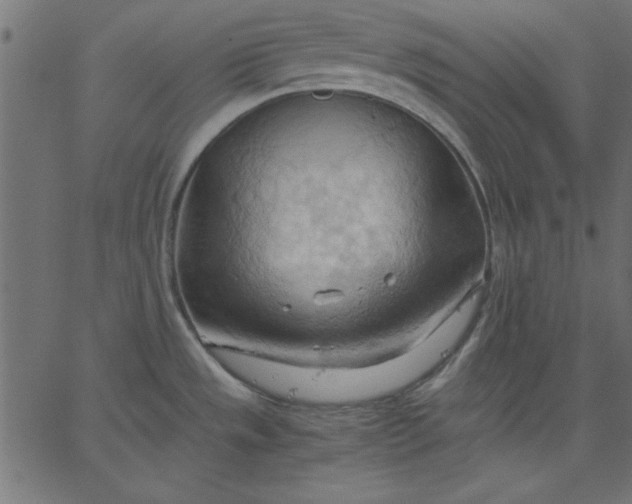 X0000067831533200604271541