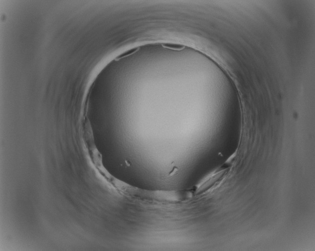 X0000067831536200604271541