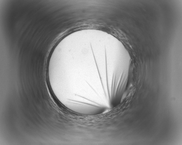 X0000067830003200605041635