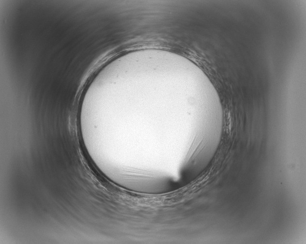 X0000067830004200605041635