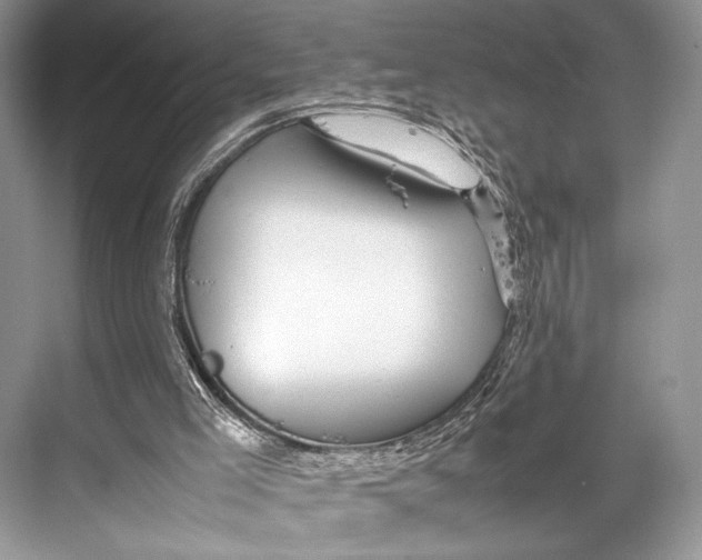 X0000067830005200605041635