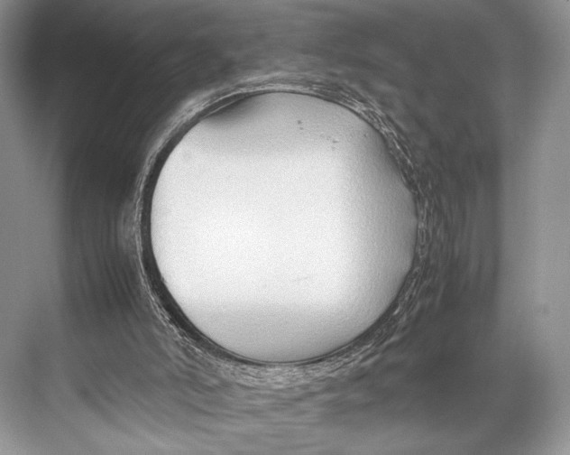 X0000067830006200605041635