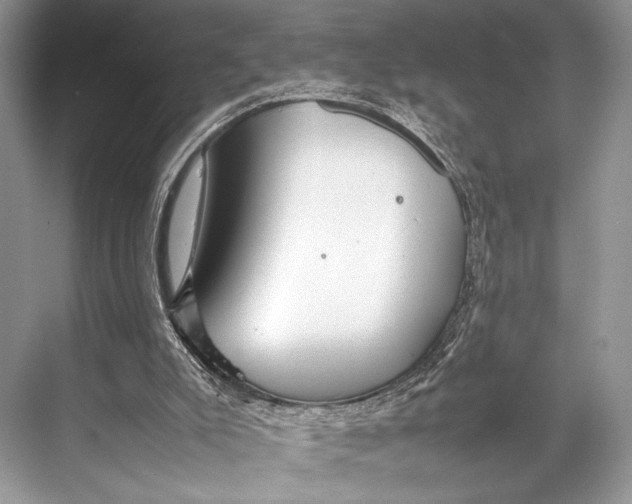 X0000067830007200605041635