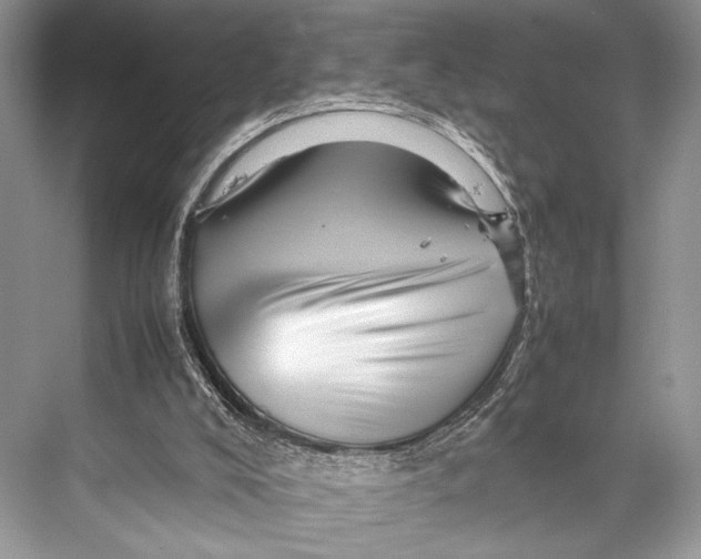 X0000067830008200605041635