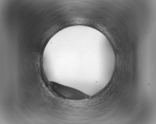 X0000067830010200605041635