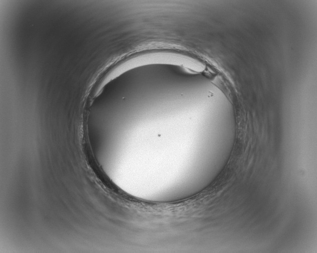 X0000067830015200605041635