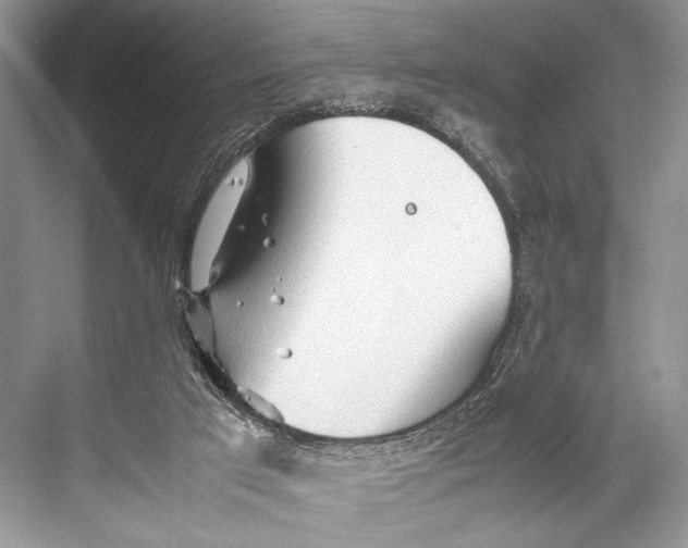 X0000067830017200605041635