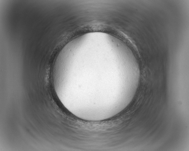 X0000067830018200605041635