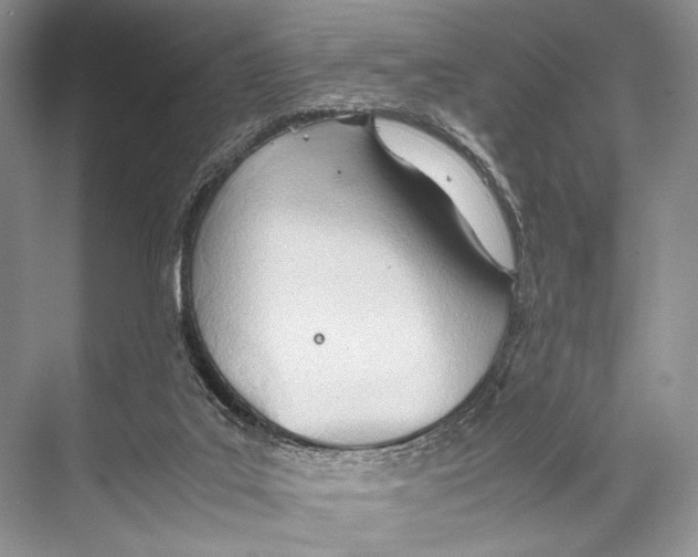 X0000067830019200605041635