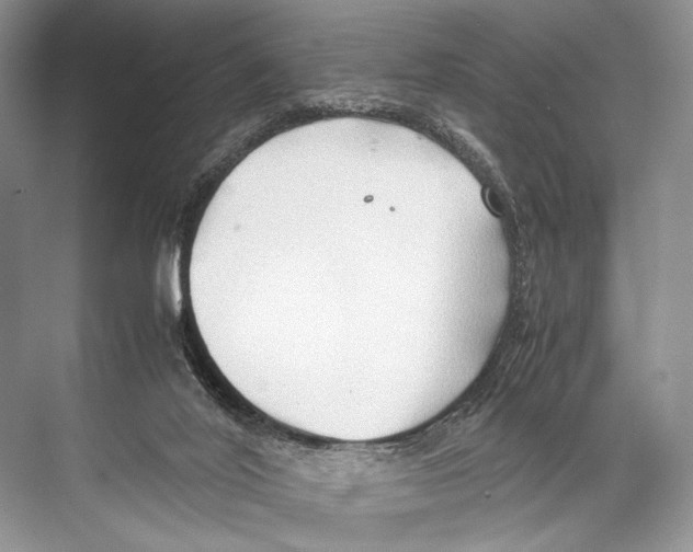 X0000067830020200605041635