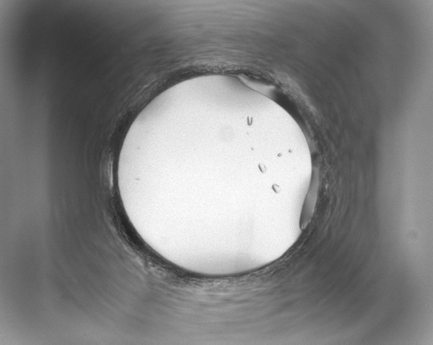 X0000067830021200605041635