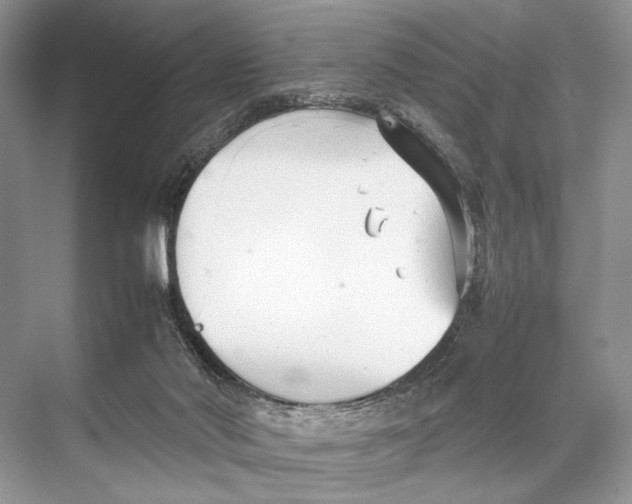 X0000067830022200605041635