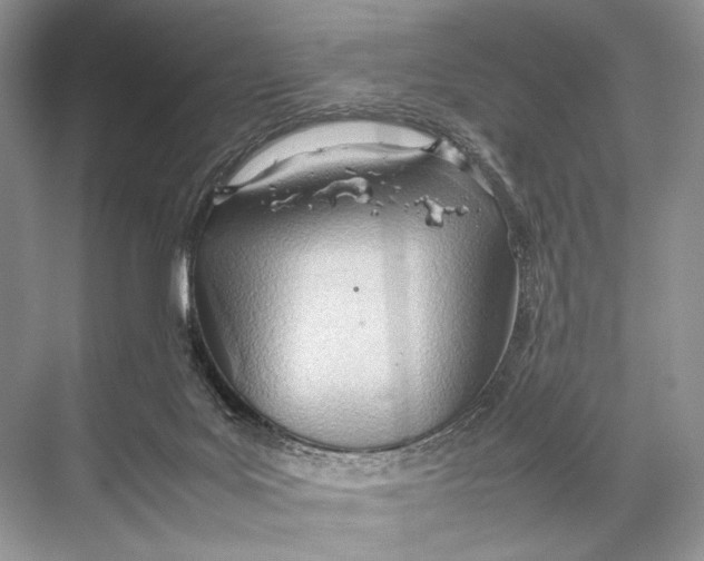 X0000067830027200605041635