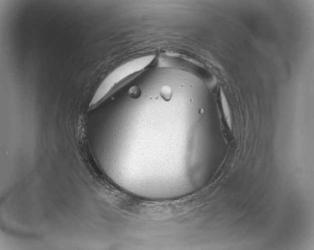 X0000067830029200605041635