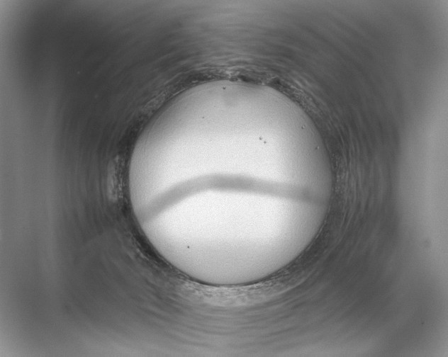 X0000067830030200605041635