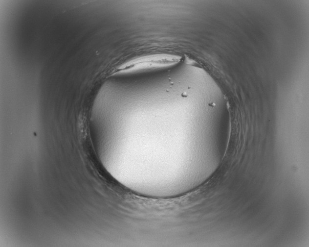 X0000067830031200605041635