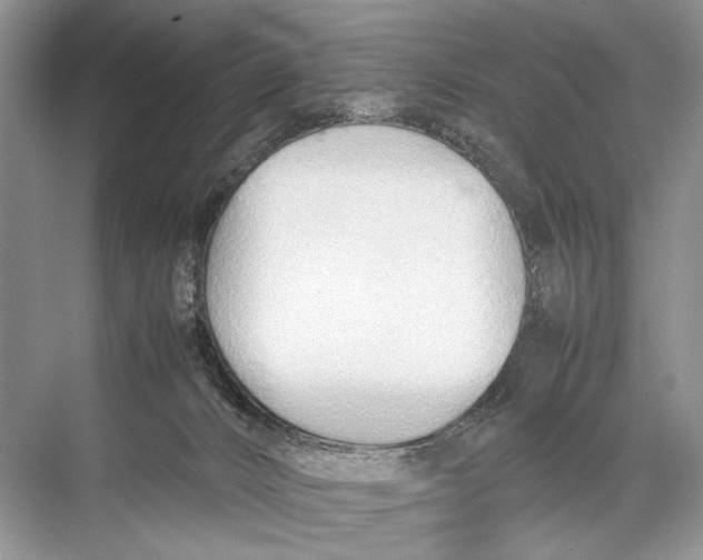 X0000067830032200605041635