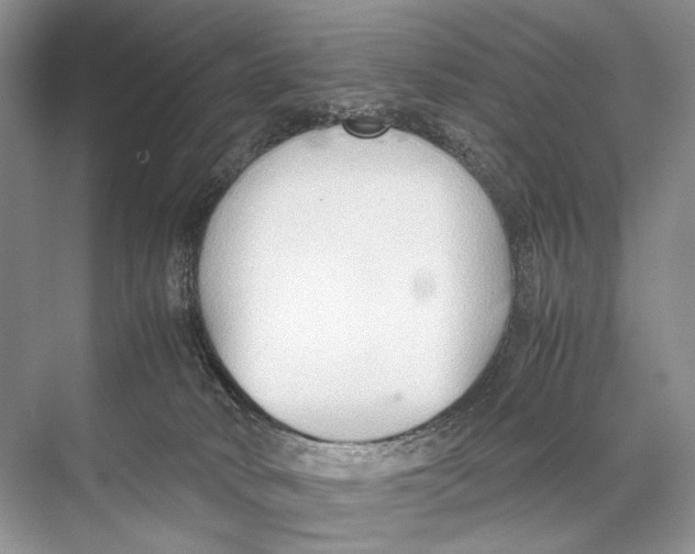 X0000067830034200605041635