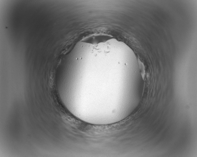 X0000067830037200605041635