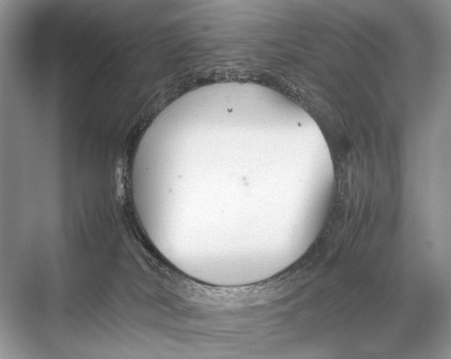 X0000067830038200605041635