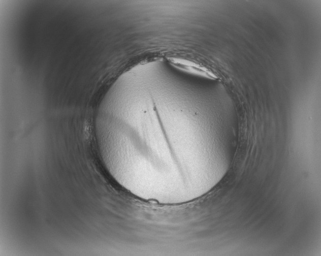 X0000067830039200605041635