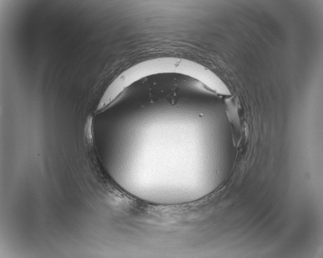 X0000067830041200605041635