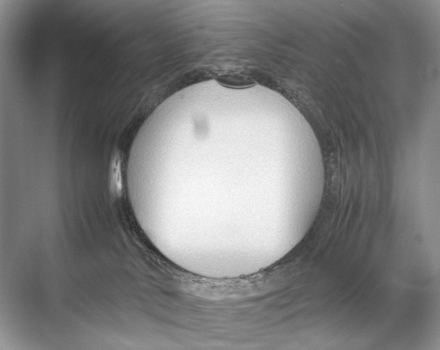 X0000067830042200605041635