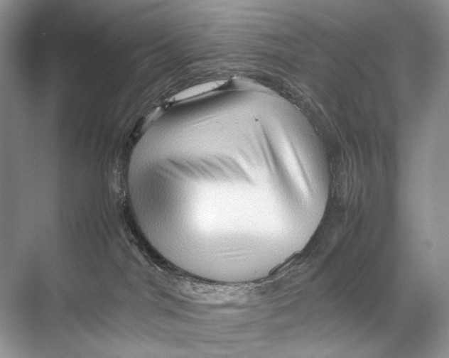 X0000067830044200605041635