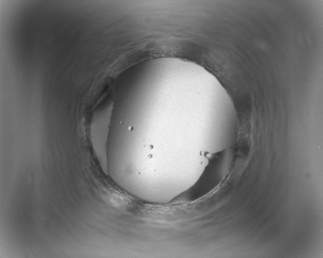 X0000067830045200605041635