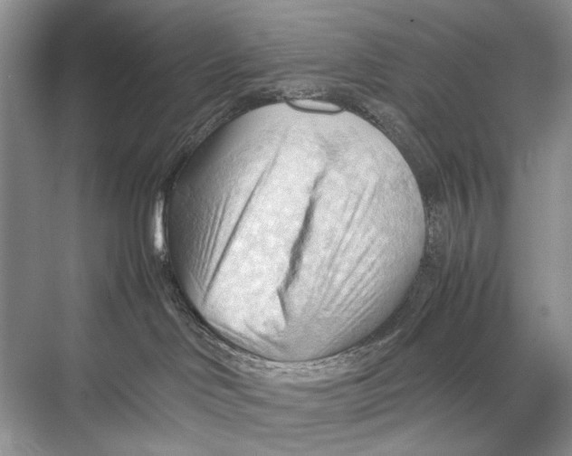 X0000067830046200605041635